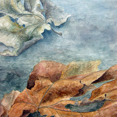 Renate Bosetti